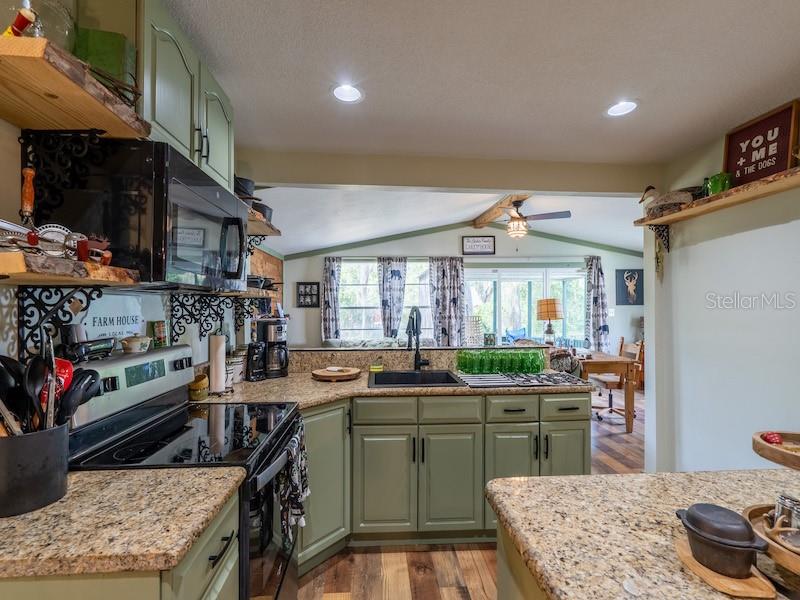 24855 NE 135TH STREET, Salt Springs, FL 32134