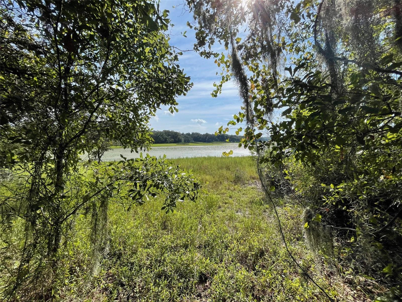 LOTS 13 & 14 SW SHOREWOOD DRIVE, Dunnellon, FL 34431 LOTS 13 & 14 SW SHOREWOOD DRIVE, Dunnellon, FL 34431