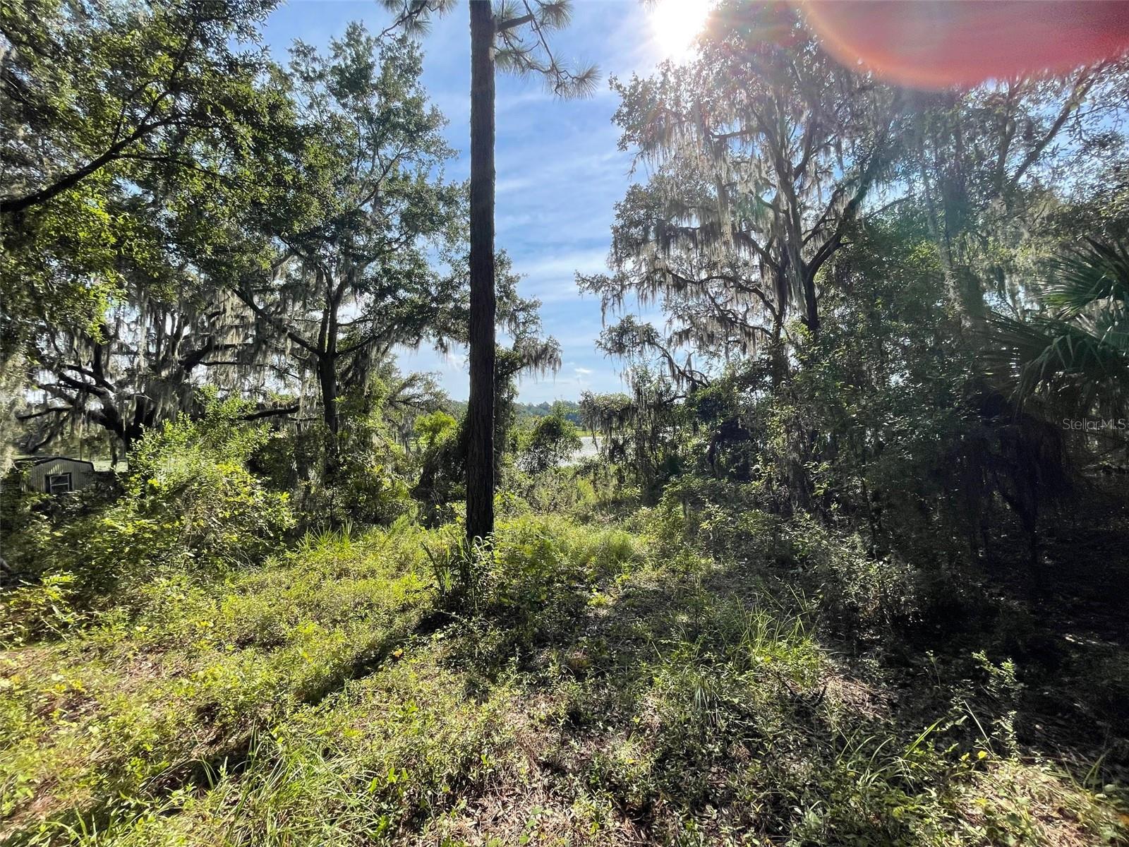 LOTS 13 & 14 SW SHOREWOOD DRIVE, Dunnellon, FL 34431 LOTS 13 & 14 SW SHOREWOOD DRIVE, Dunnellon, FL 34431
