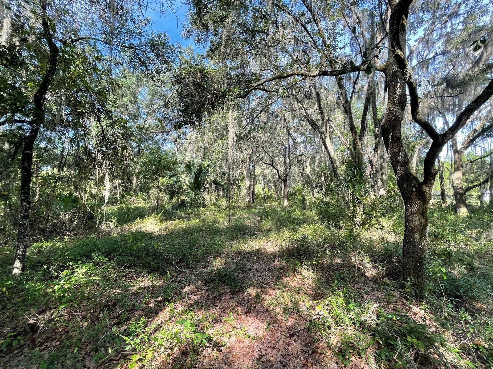 LOTS 13 & 14 SW SHOREWOOD DRIVE, Dunnellon, FL 34431 LOTS 13 & 14 SW SHOREWOOD DRIVE, Dunnellon, FL 34431