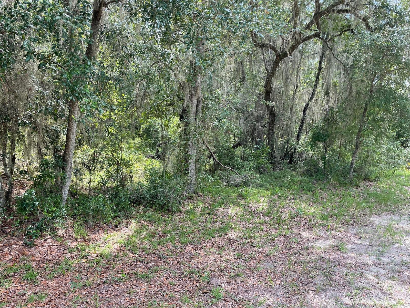 LOTS 15 & 16 SW SHOREWOOD DRIVE, Dunnellon, FL 34431