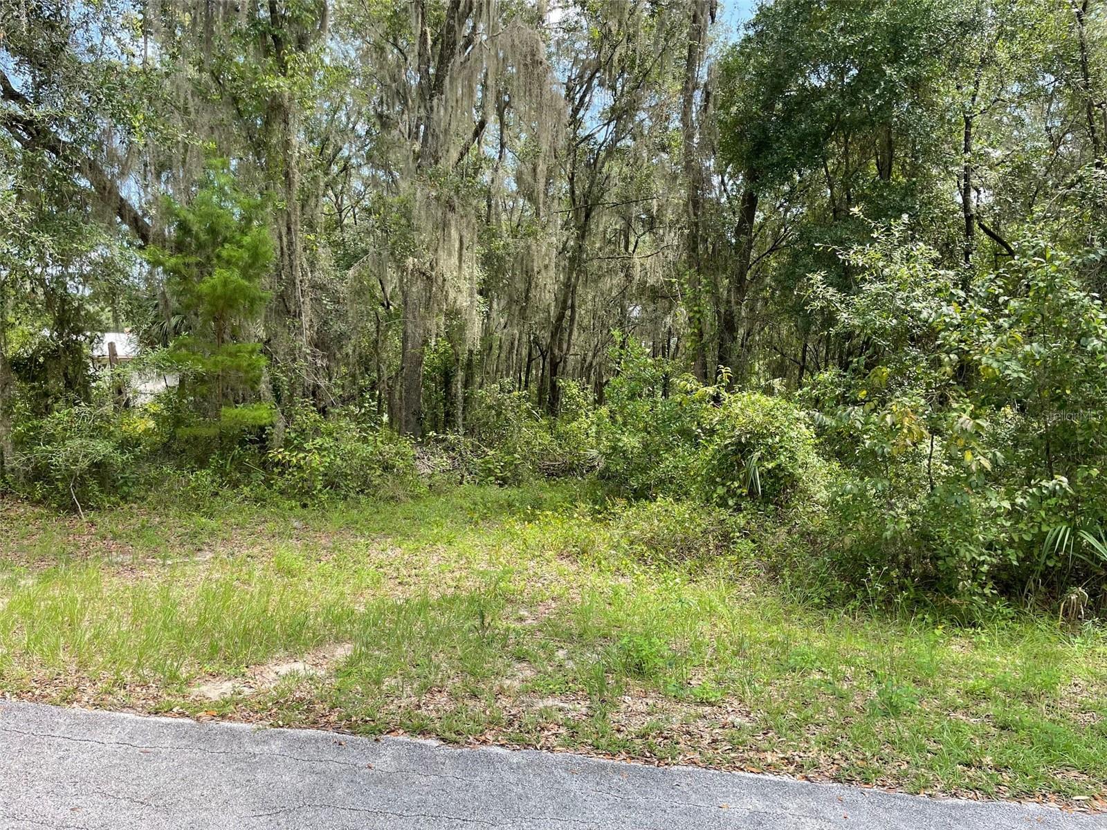 LOTS 15 & 16 SW SHOREWOOD DRIVE, Dunnellon, FL 34431