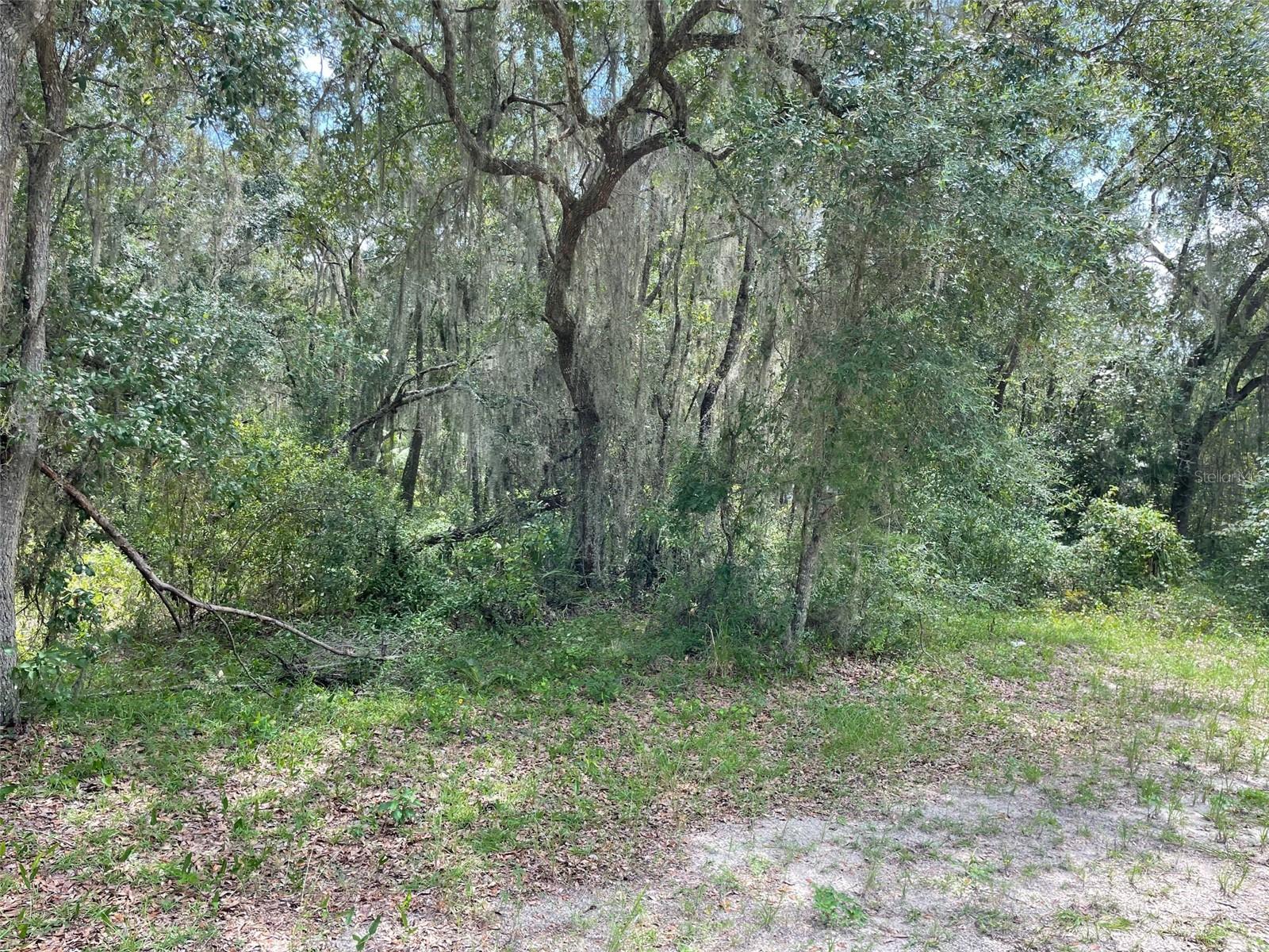 LOTS 15 & 16 SW SHOREWOOD DRIVE, Dunnellon, FL 34431