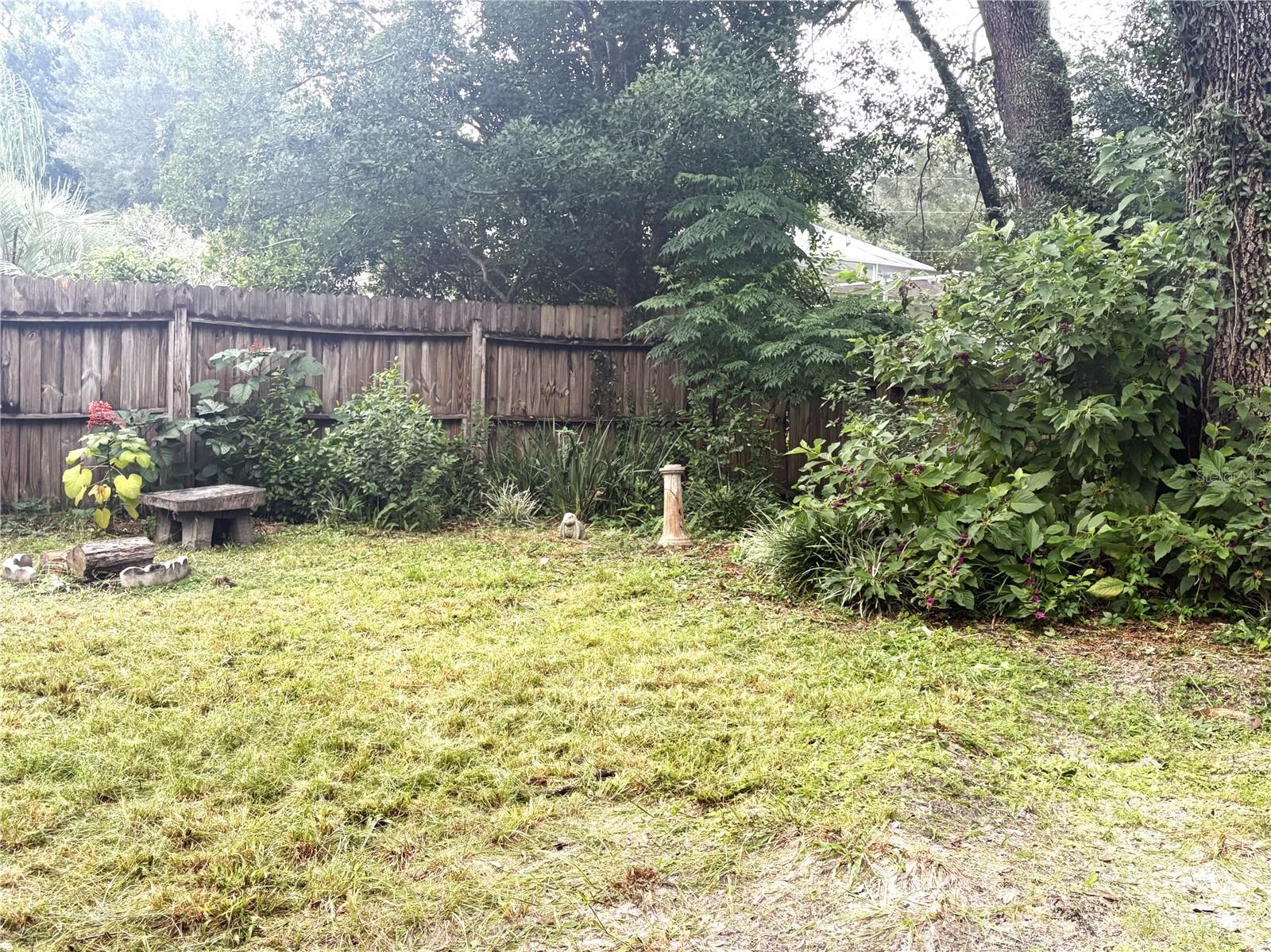 Back yard.