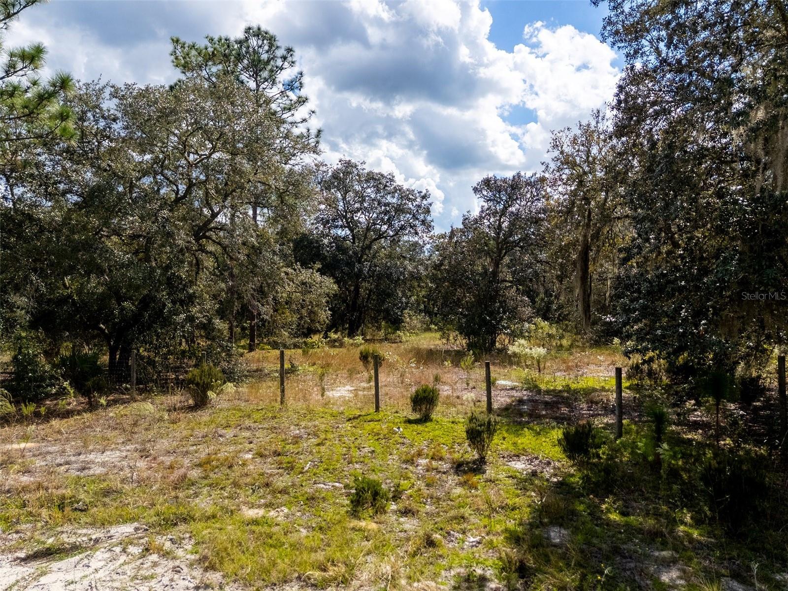 00 NE 78TH LANE, Bronson, FL 32621