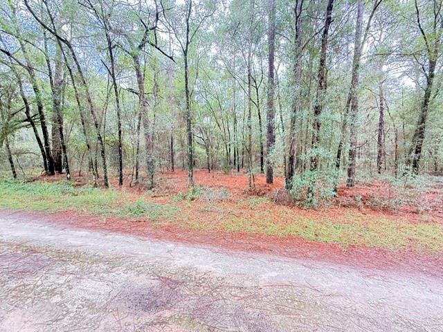 000 SW 10TH PL, Ocala, FL 34481 000 SW 10TH PL, Ocala, FL 34481