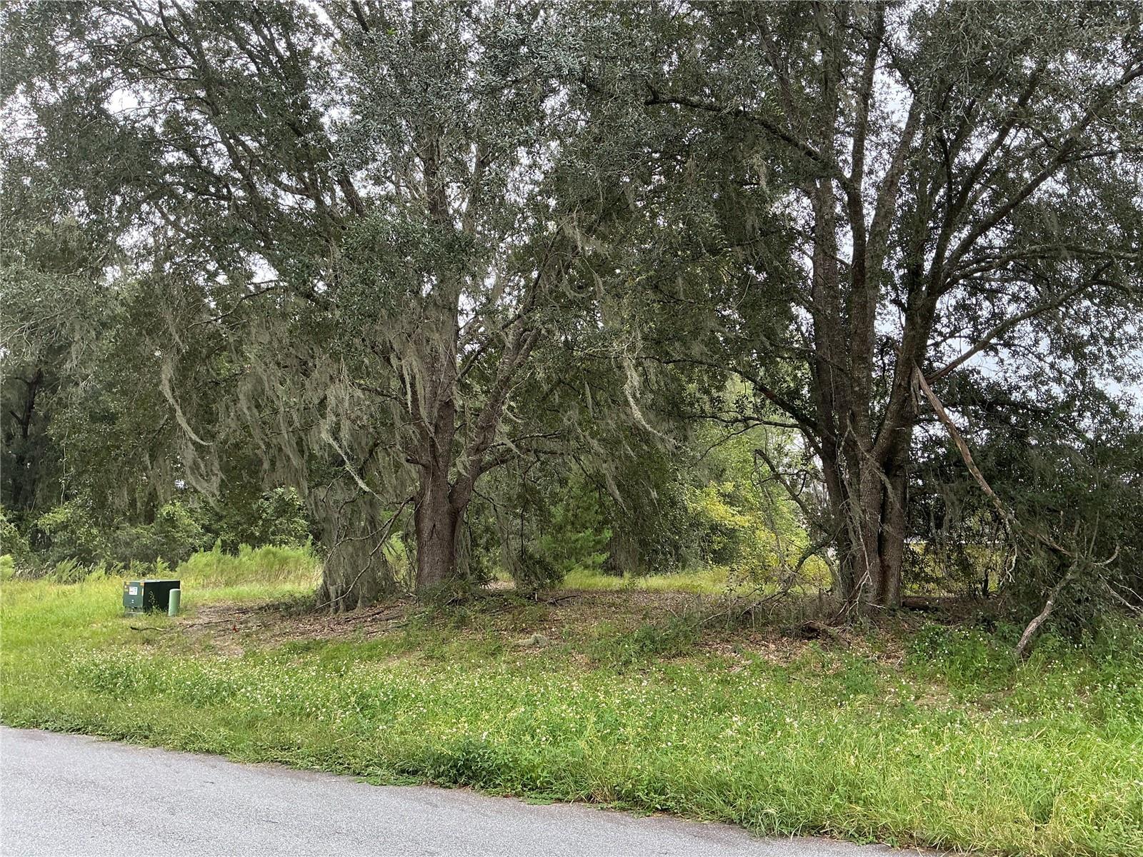 169TH STREET, Ocala, FL 34473