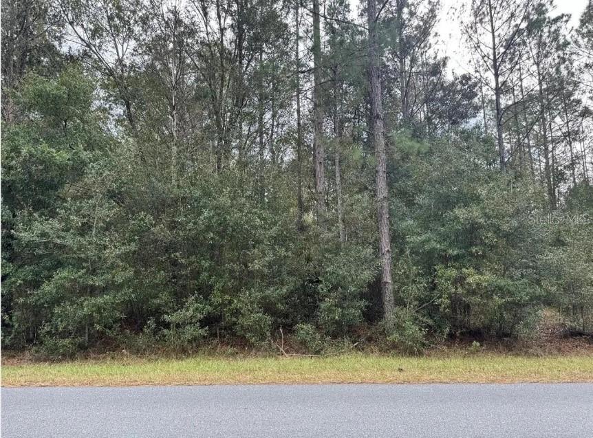 00 SW 36 AVENUE, Ocala, FL 34473