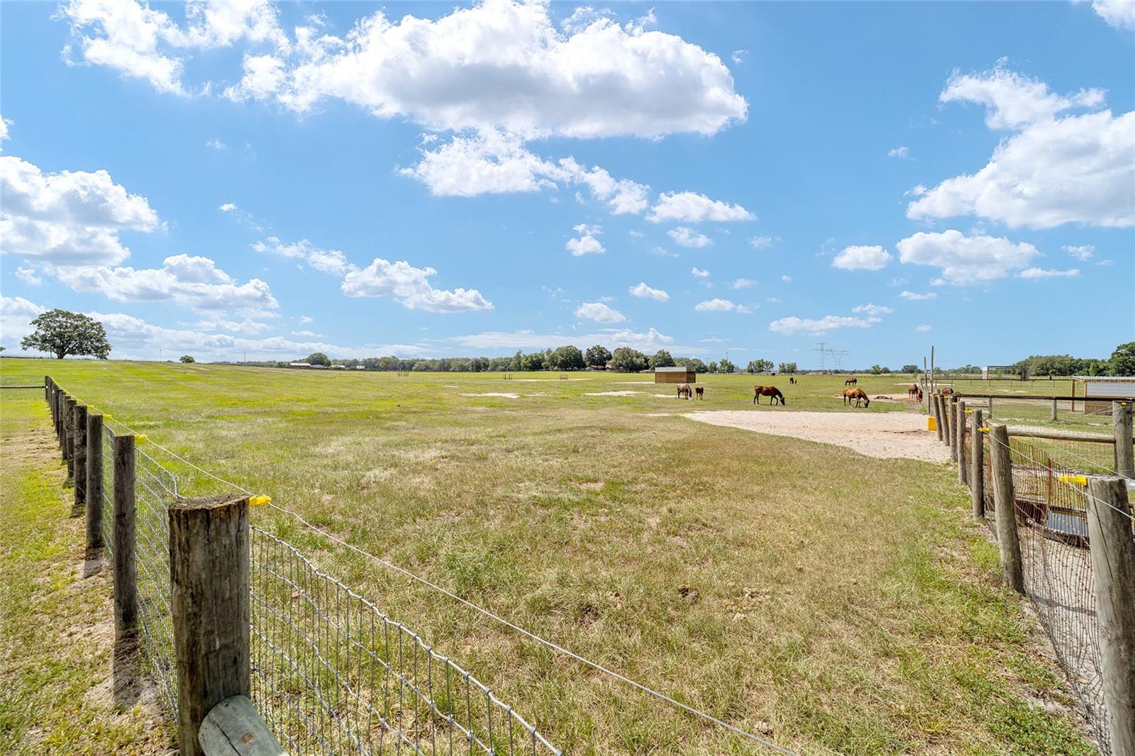 1177 NW 102ND BOULEVARD, #Option 1, Wildwood, FL 34785