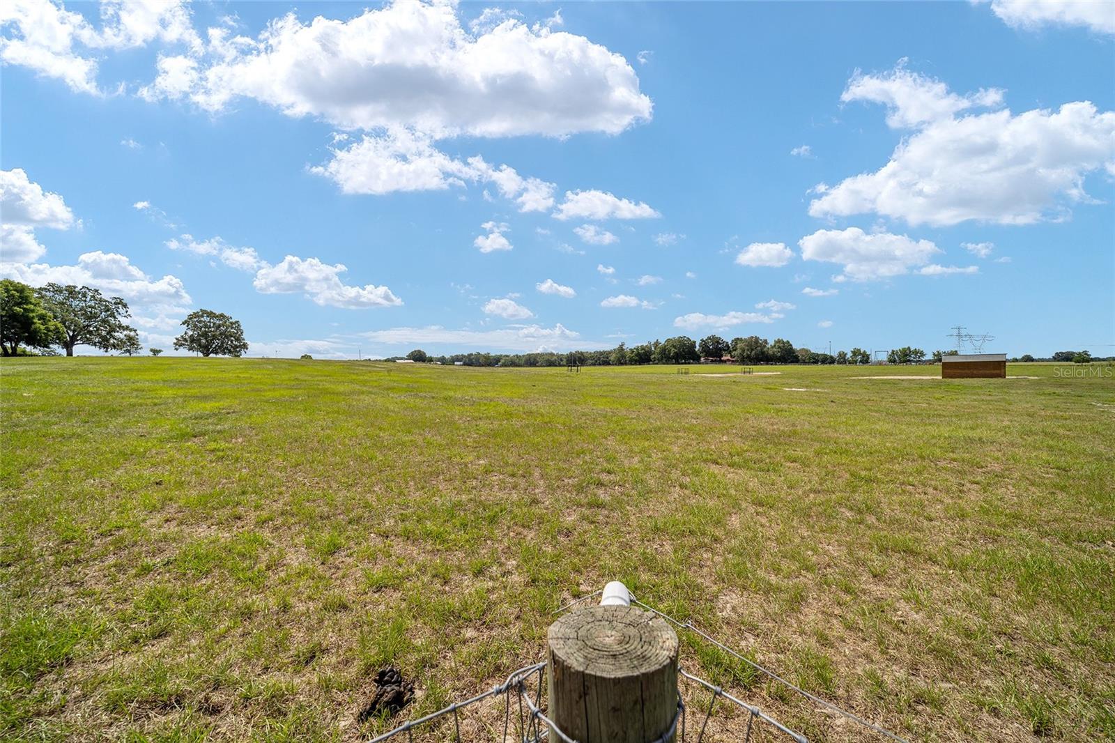 1177 NW 102ND BOULEVARD, #Option 1, Wildwood, FL 34785