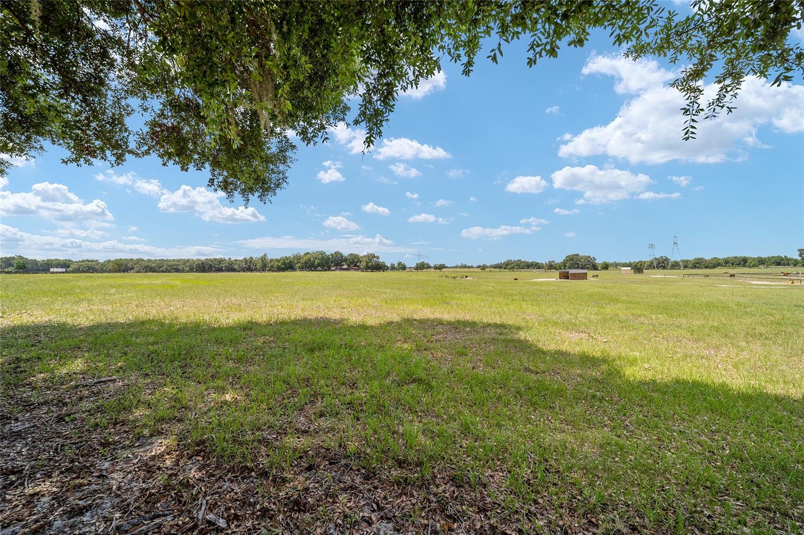 1177 NW 102ND BOULEVARD, #Option 1, Wildwood, FL 34785