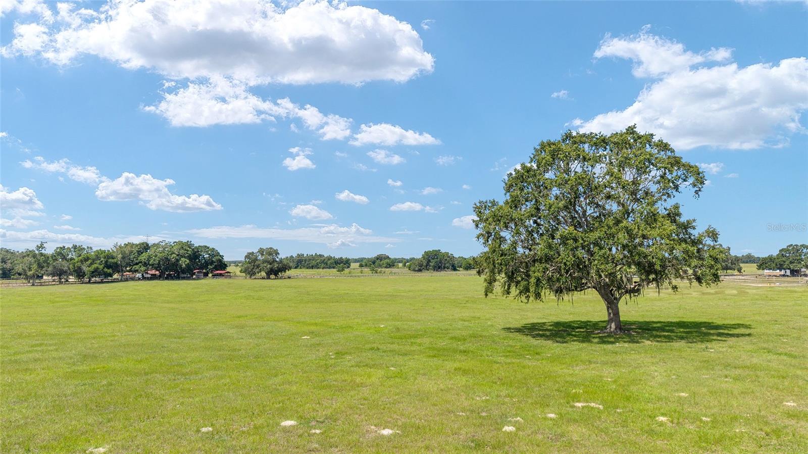 1177 NW 102ND BOULEVARD, #Option 1, Wildwood, FL 34785