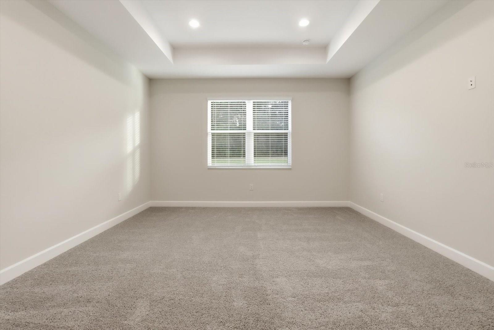 The primary bedroom also features tray ceilings and carpet for added comfort.
