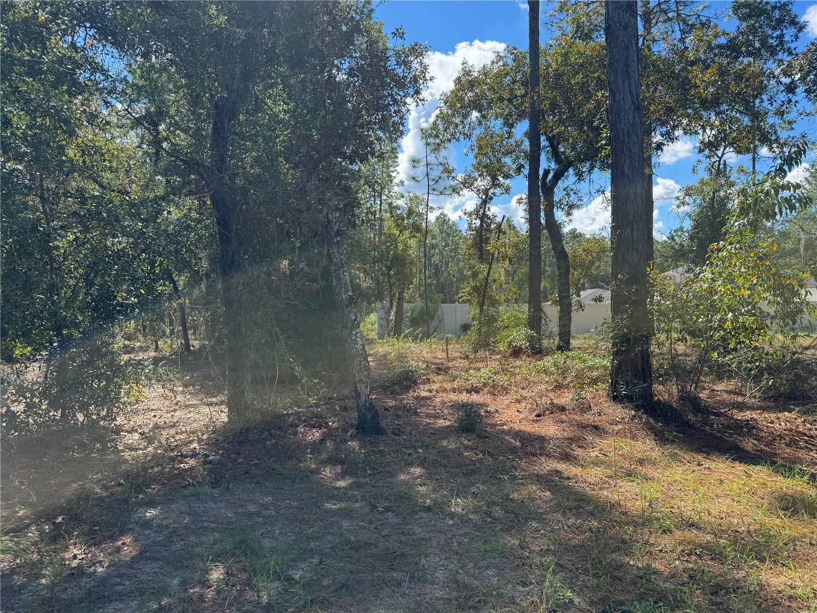 FROM NE CORNER LOOKING TO SE CORNER AT REAR OF LOT 21