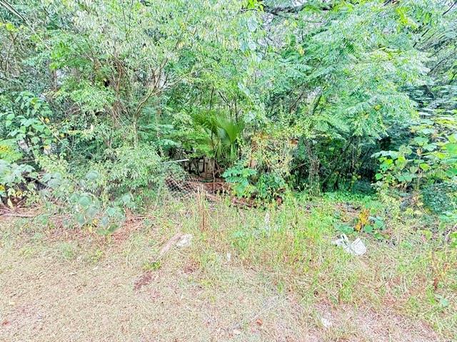 5231 SE 29TH COURT, Ocala, FL 34480