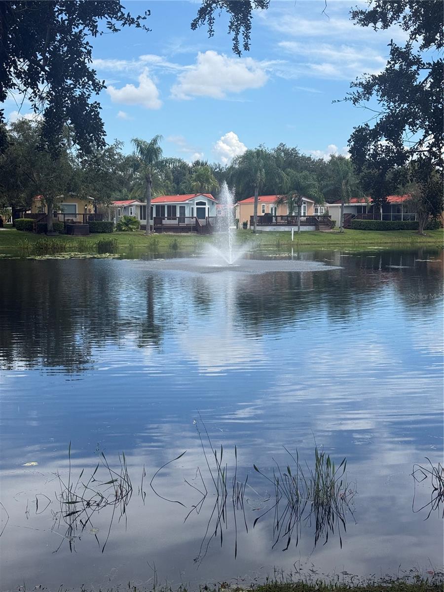 6624 BONITA VISTA COURT, Land O Lakes, FL 34637