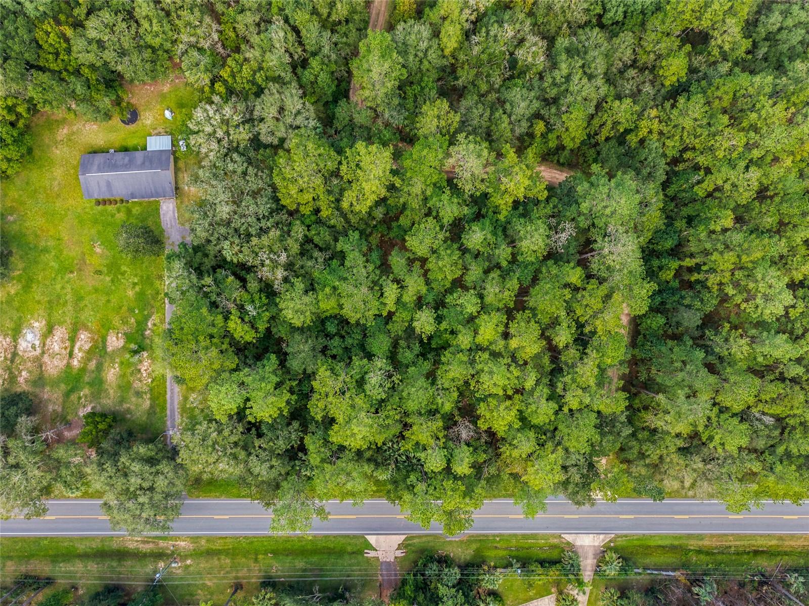 314 HIGHWAY NE, Silver Springs, FL 34488