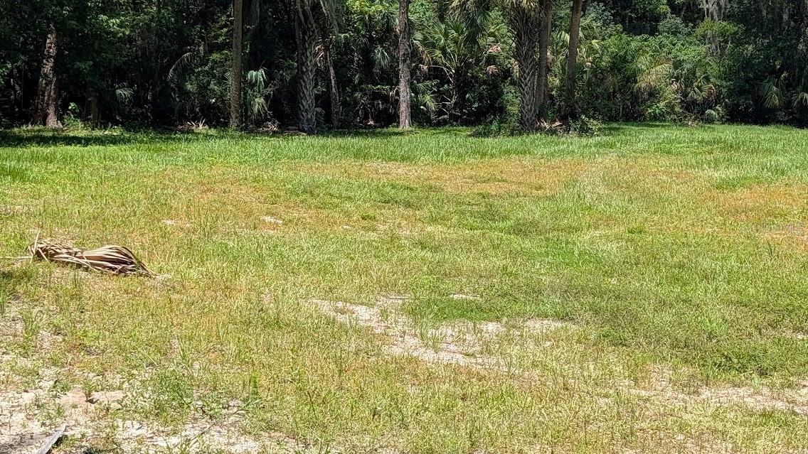 Cleared area ready to build on, trees are on or near west property line.