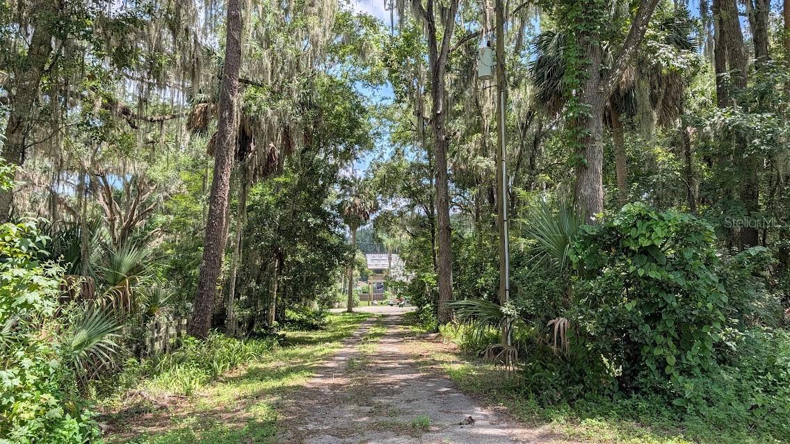 Driveway looking east back at 7 th Ave. Road