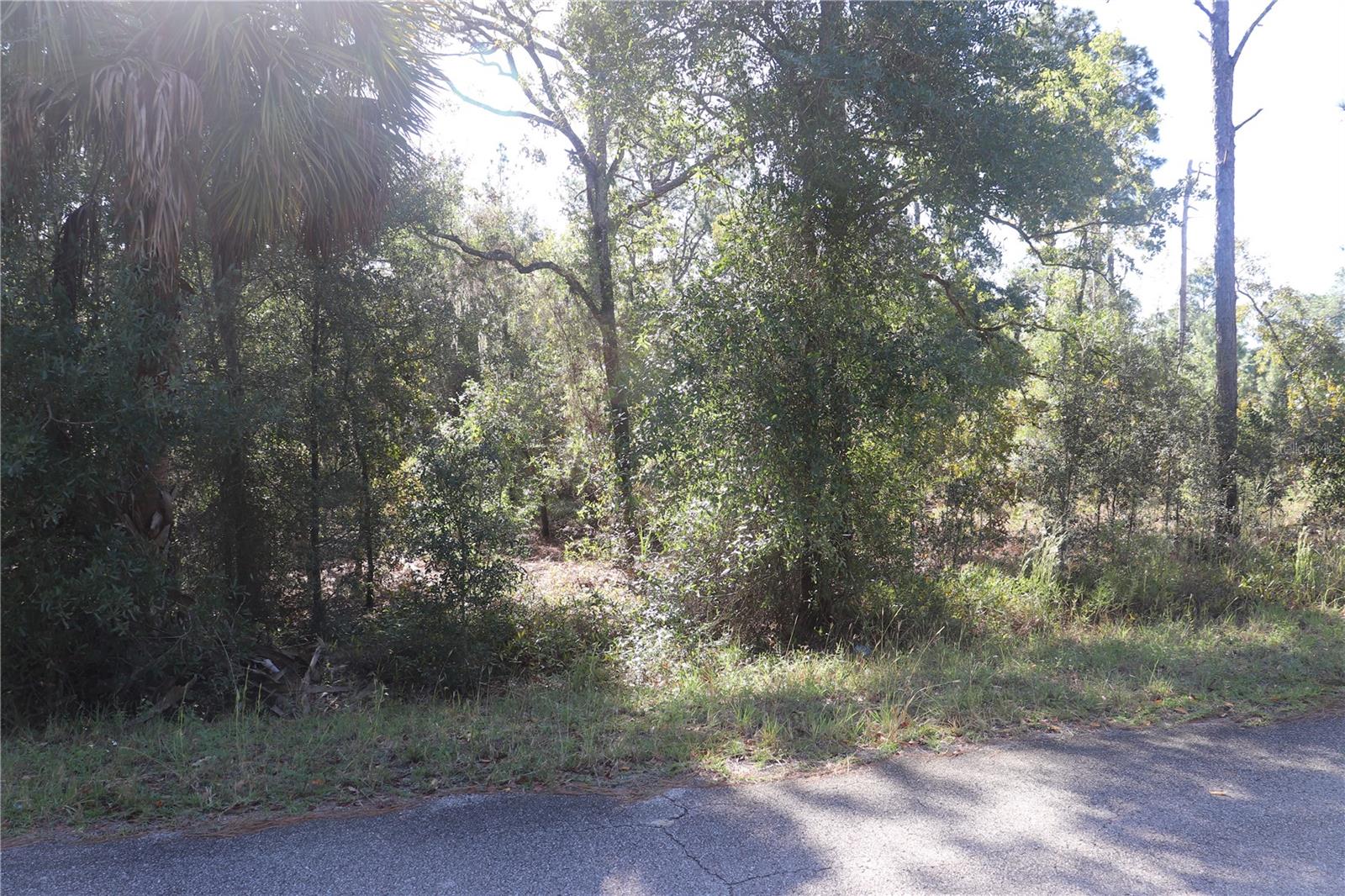 5756 W CONNETQUOT PLACE, Dunnellon, FL 34433 5756 W CONNETQUOT PLACE, Dunnellon, FL 34433