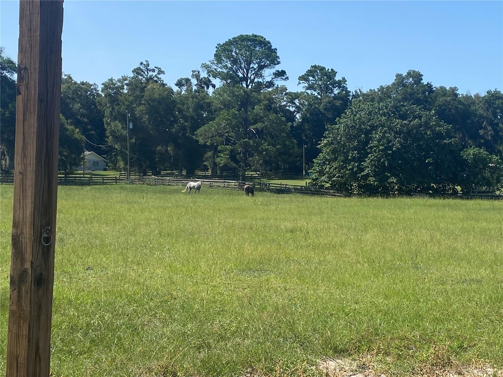 14421 SW 14TH STREET, Ocala, FL 34481