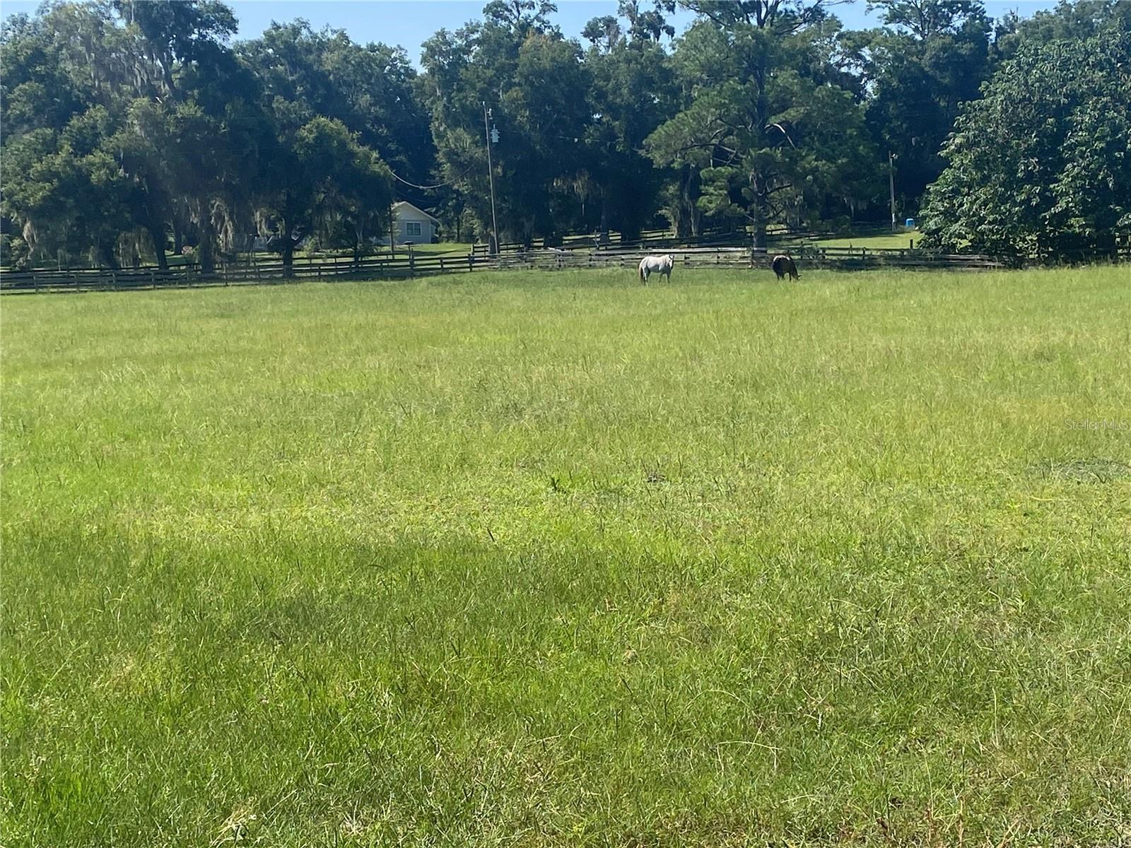 14421 SW 14TH STREET, Ocala, FL 34481