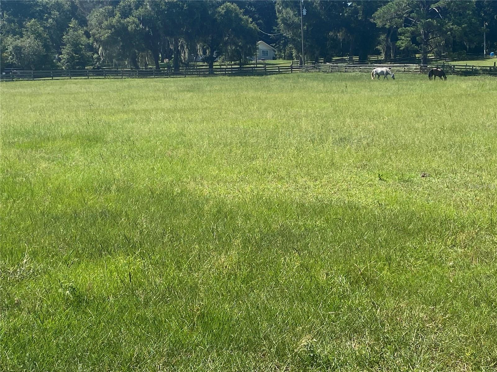 14421 SW 14TH STREET, Ocala, FL 34481