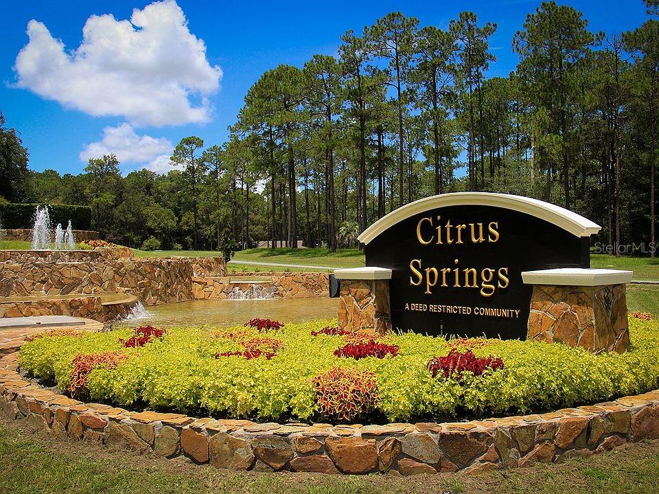 2204 W RILEY DRIVE, Citrus Springs, FL 34434