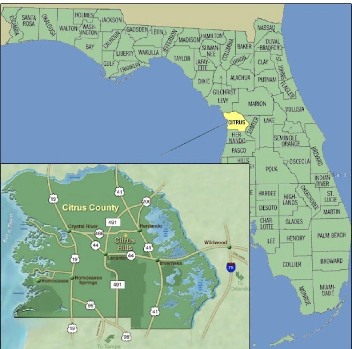 2204 W RILEY DRIVE, Citrus Springs, FL 34434