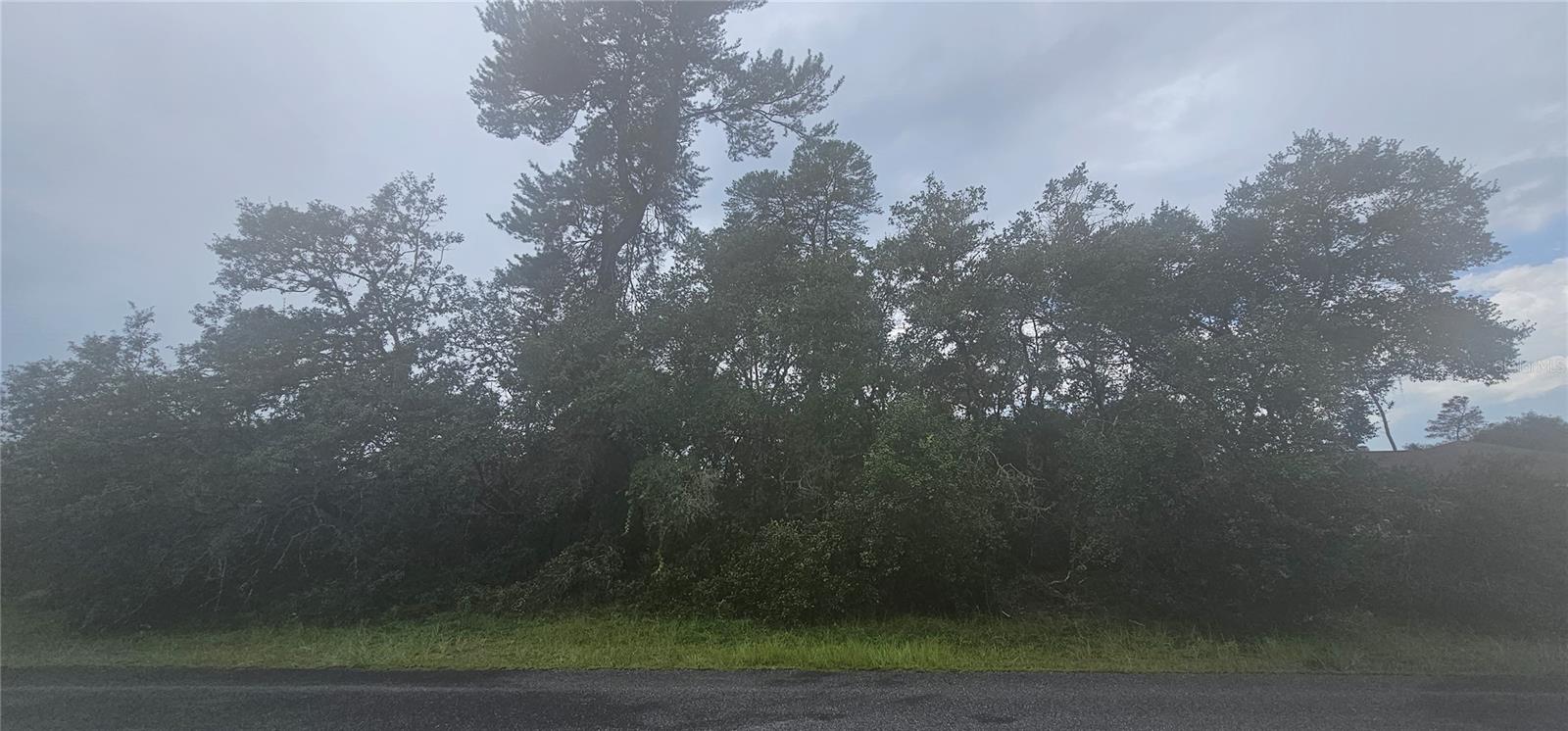 SW 24TH CIRCLE, Ocala, FL 34473 SW 24TH CIRCLE, Ocala, FL 34473