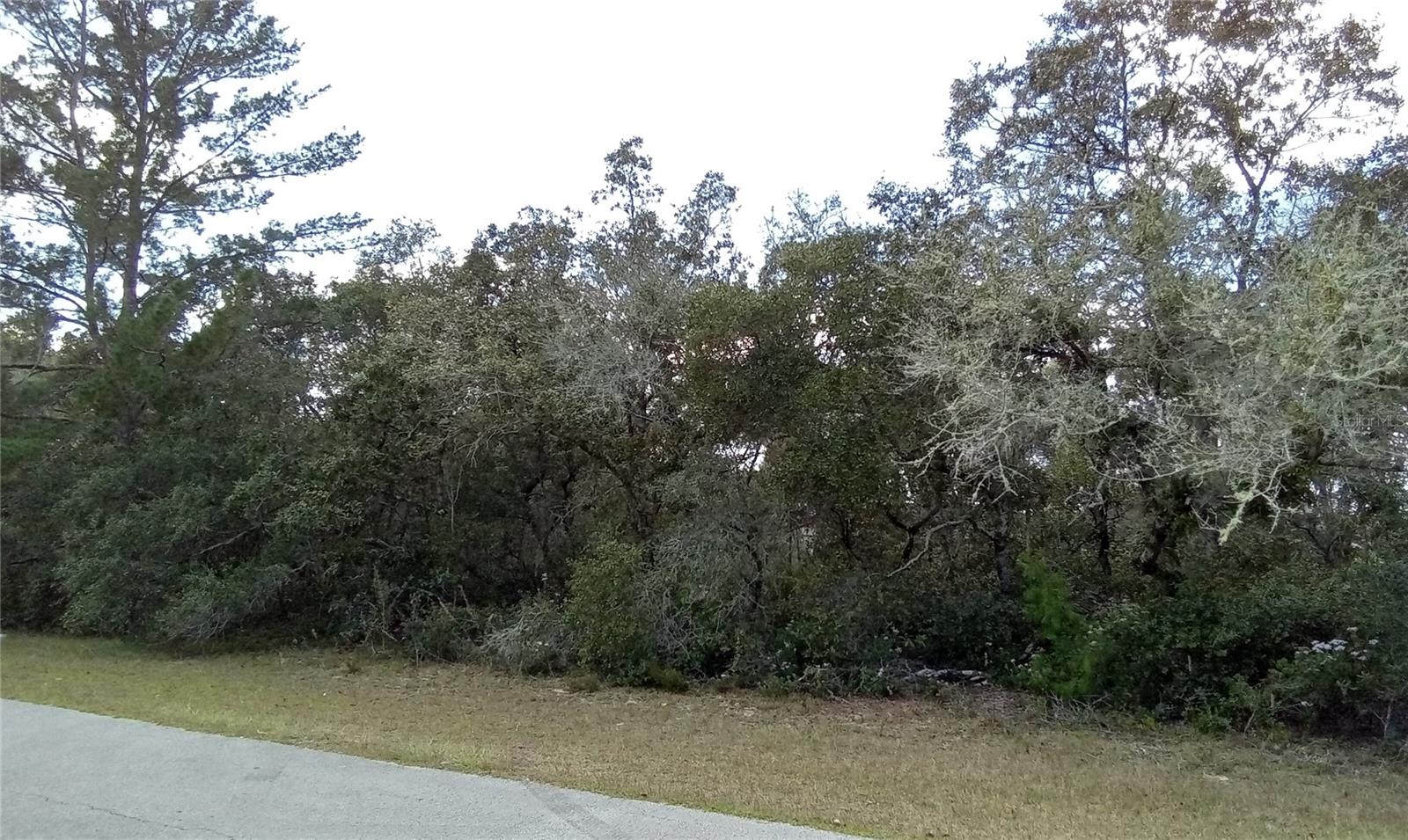 SW 24TH CIRCLE, Ocala, FL 34473