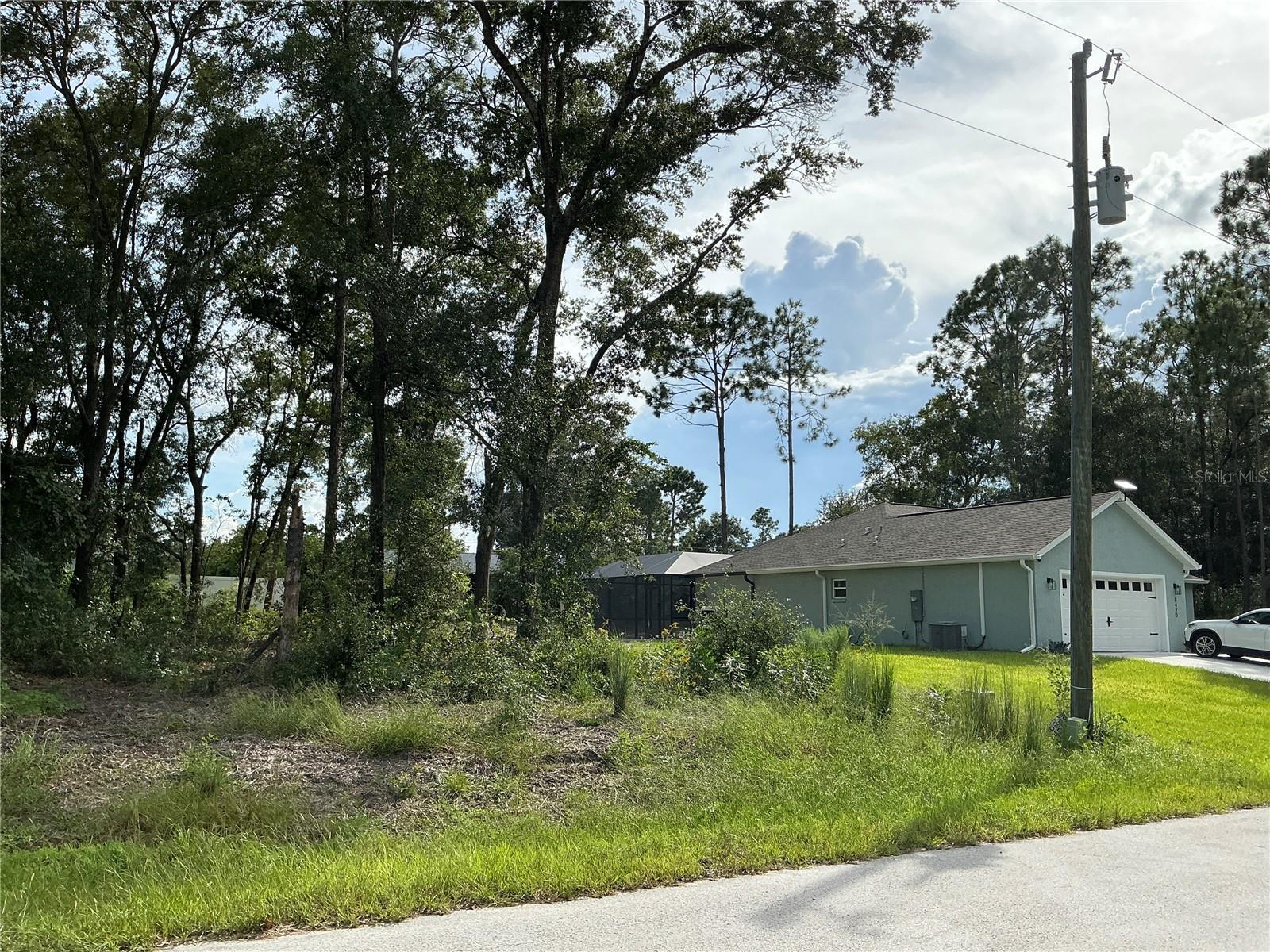 SE 159TH PLACE, Summerfield, FL 34491