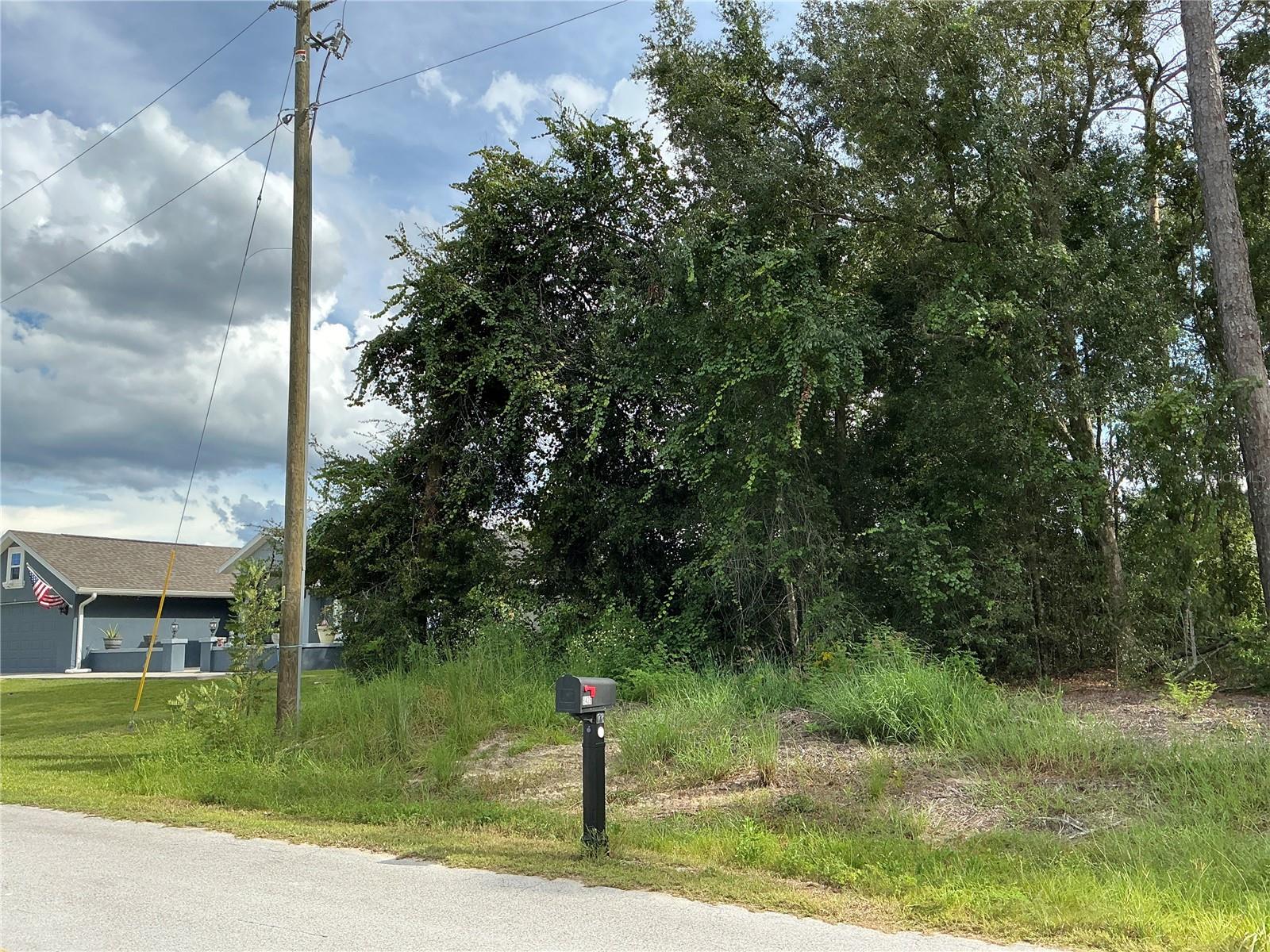 SE 159TH PLACE, Summerfield, FL 34491