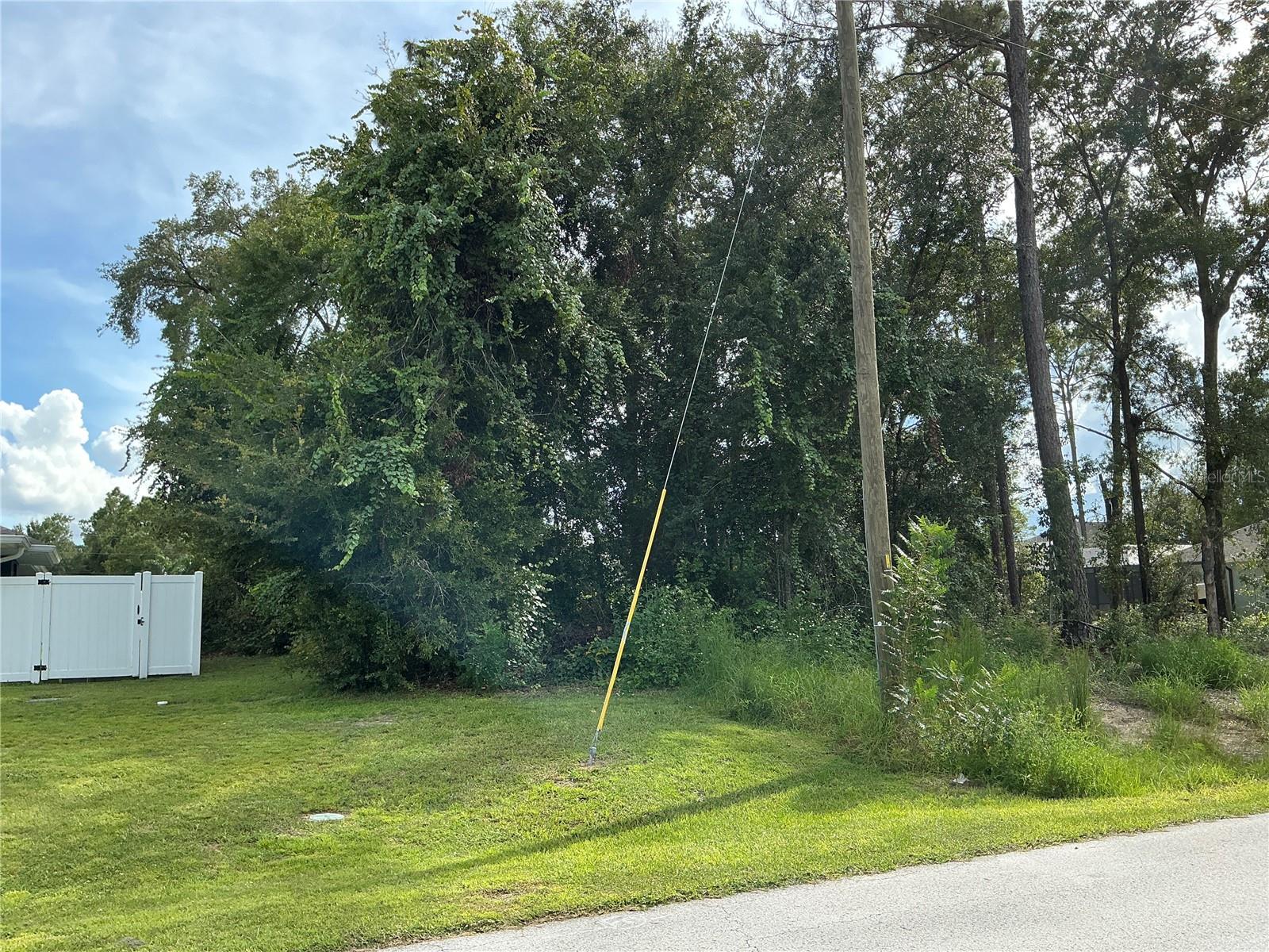 SE 159TH PLACE, Summerfield, FL 34491