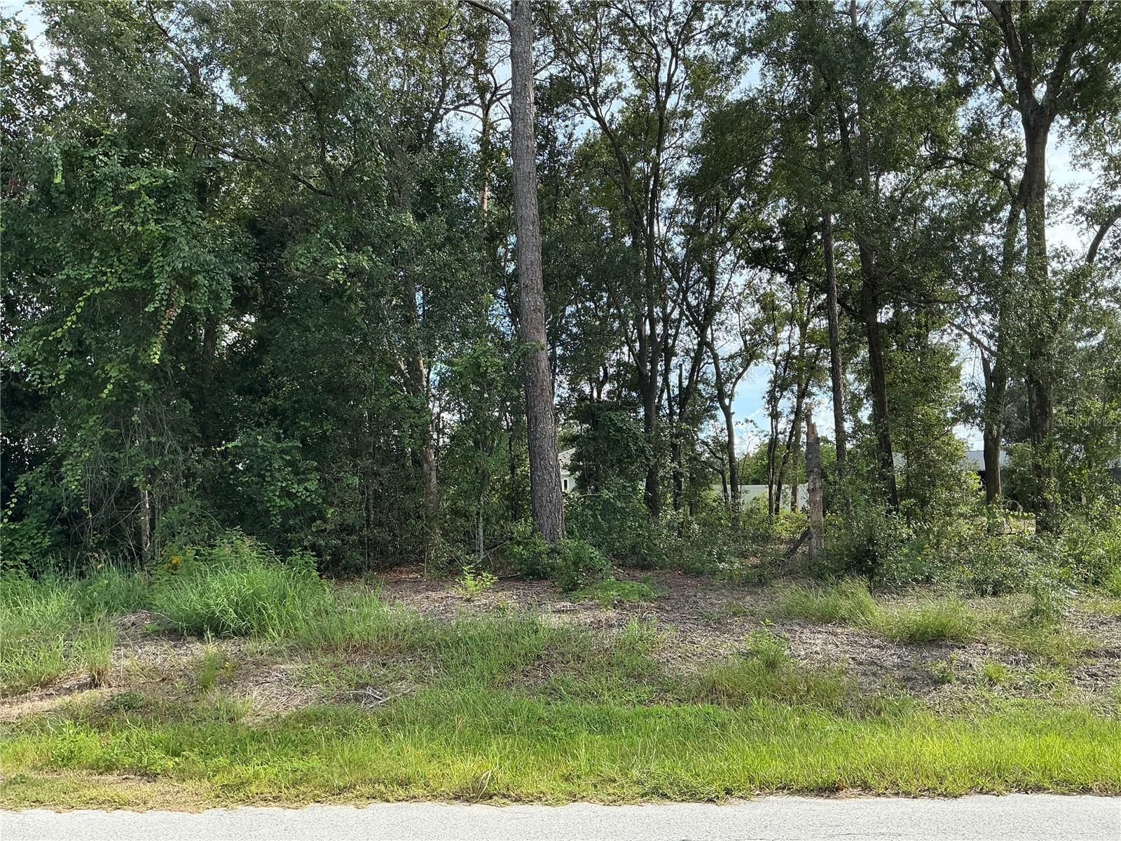SE 159TH PLACE, Summerfield, FL 34491 SE 159TH PLACE, Summerfield, FL 34491