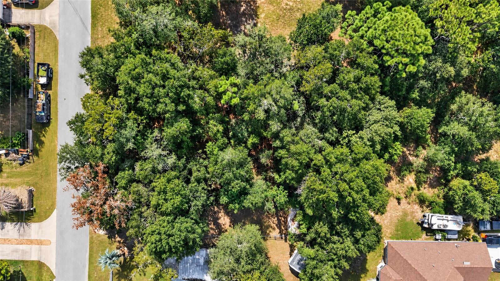SE 91ST COURT, Summerfield, FL 34491