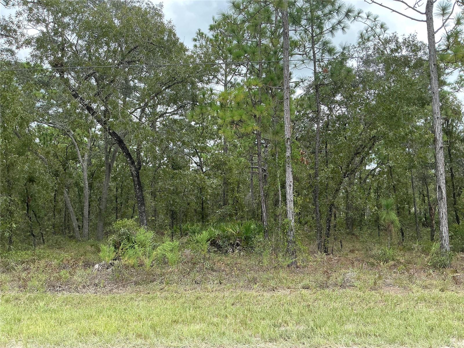 16118 MARSH QUAIL ROAD, Weeki Wachee, FL 34614