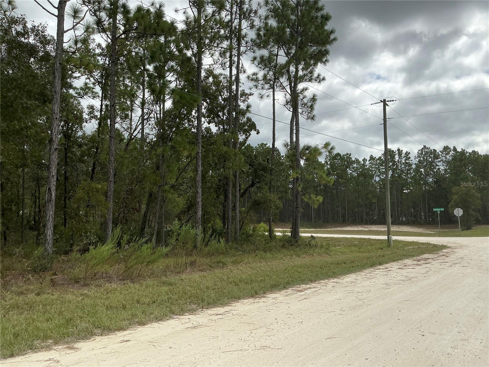 16118 MARSH QUAIL ROAD, Weeki Wachee, FL 34614