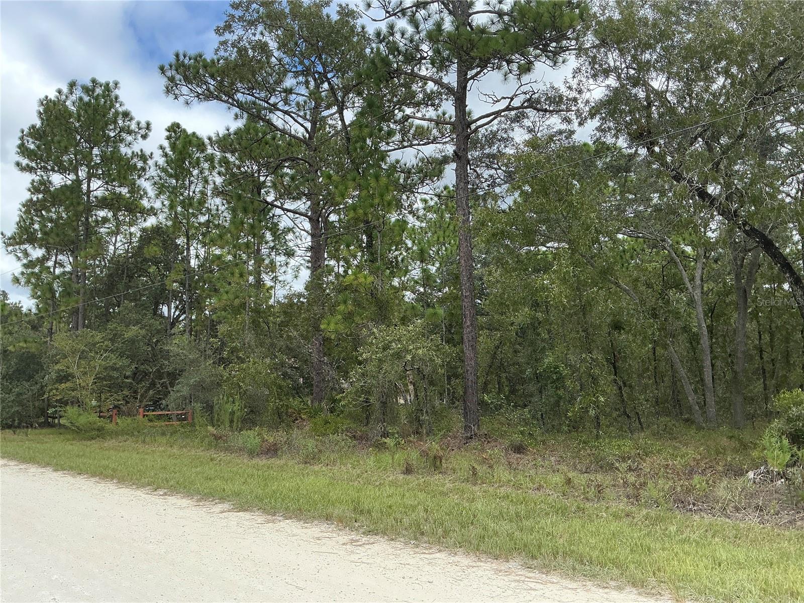 16118 MARSH QUAIL ROAD, Weeki Wachee, FL 34614