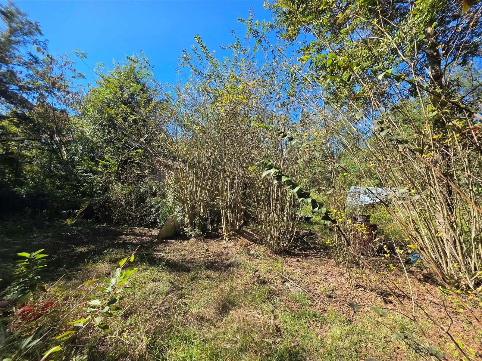 12720 NW COUNTY ROAD 231, Gainesville, FL 32609