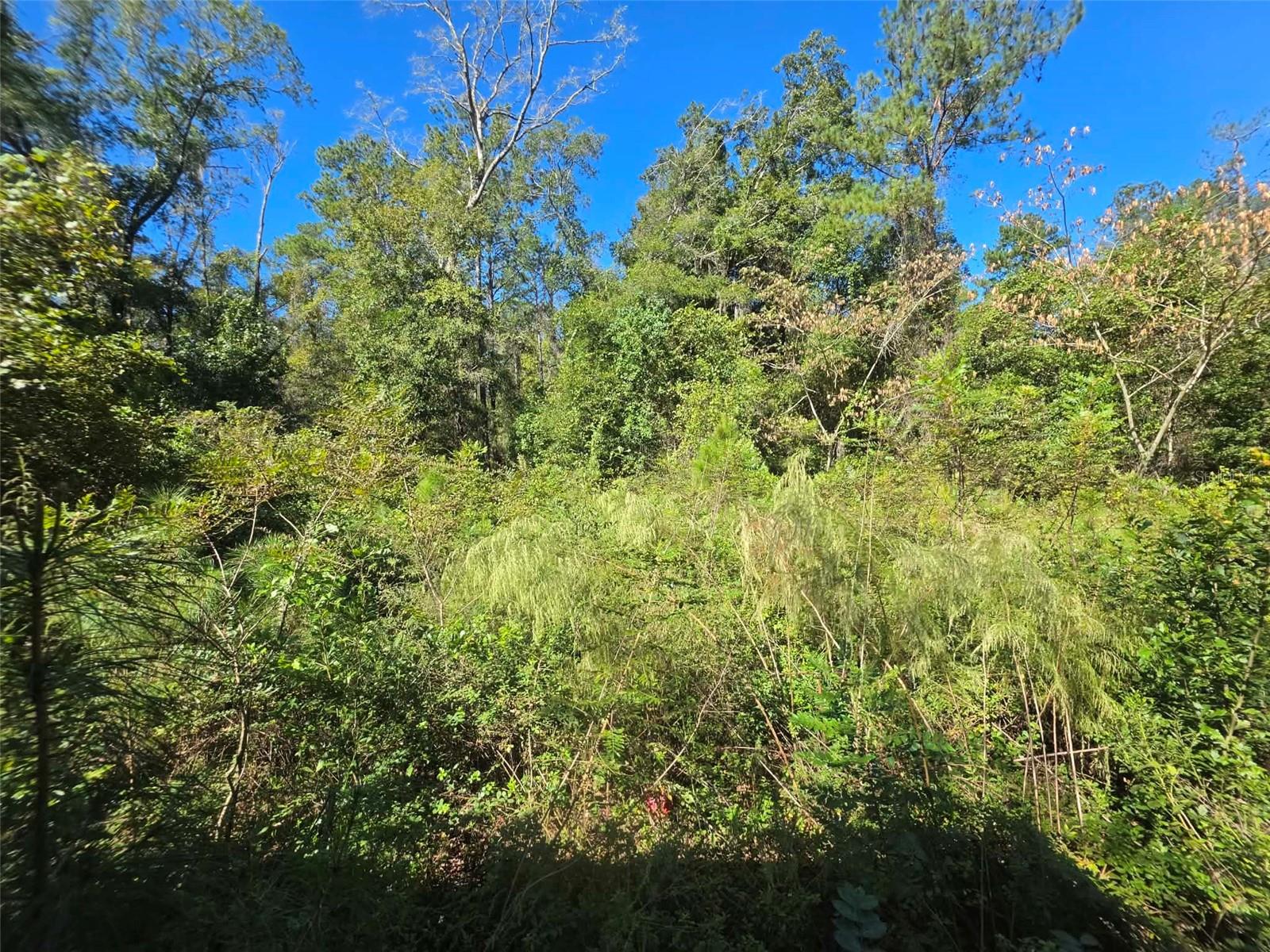 12720 NW COUNTY ROAD 231, Gainesville, FL 32609