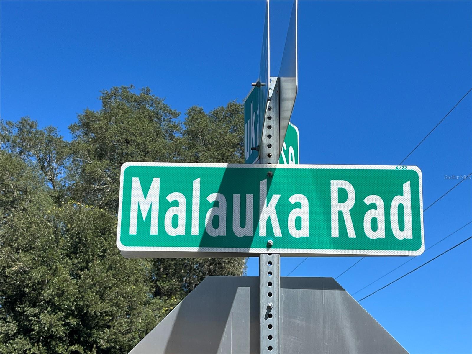 115 MALAUKA RADIAL, Ocklawaha, FL 32179