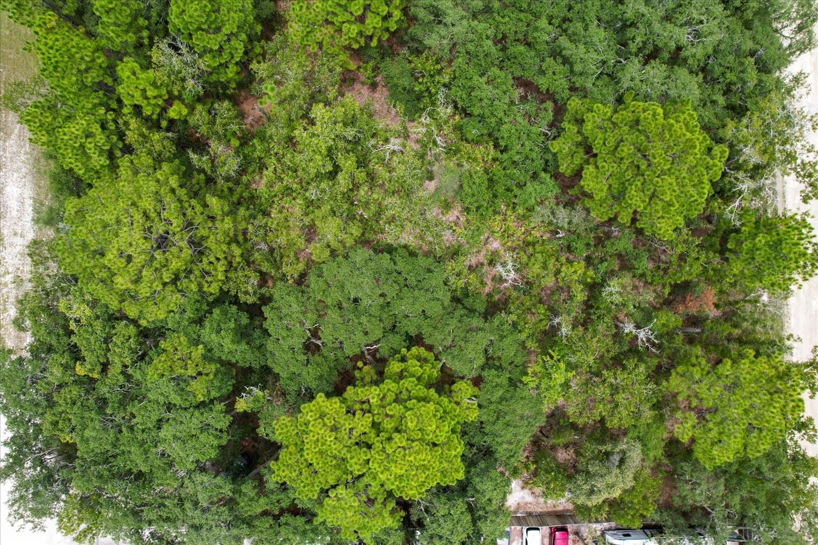 17192 NICASIO JAY AVENUE, Brooksville, FL 34614 17192 NICASIO JAY AVENUE, Brooksville, FL 34614