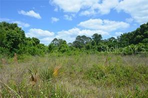39 LOCUST PLACE, Ocala, FL 34472