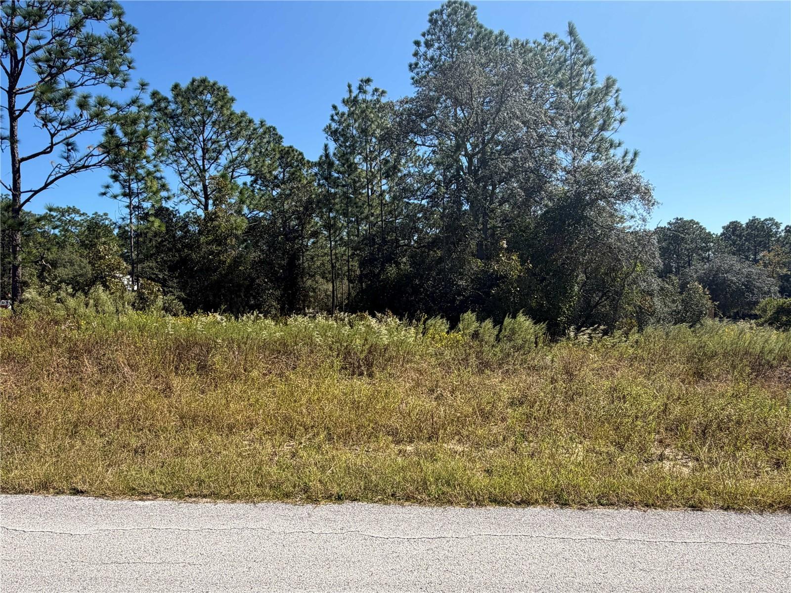 Lot 42 SW AZALEA COURT, Dunnellon, FL 34431