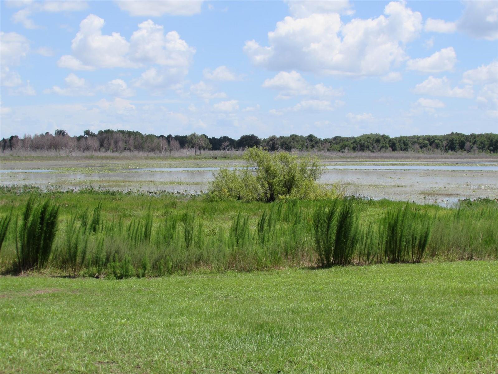 Lot 42 SW AZALEA COURT, Dunnellon, FL 34431
