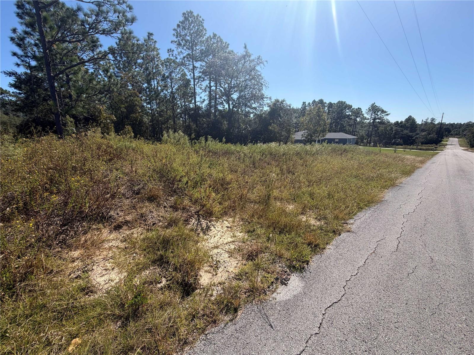 Lot 42 SW AZALEA COURT, Dunnellon, FL 34431