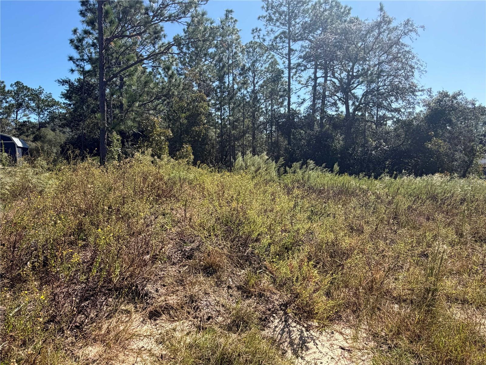 Lot 42 SW AZALEA COURT, Dunnellon, FL 34431