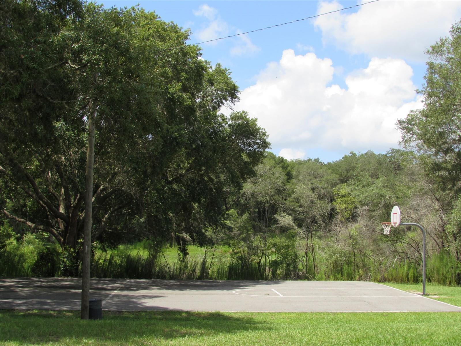 Lot 42 SW AZALEA COURT, Dunnellon, FL 34431