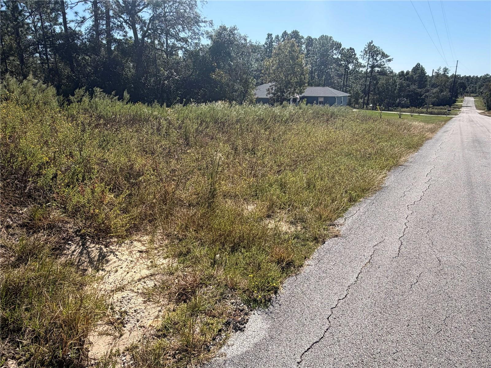 Lot 42 SW AZALEA COURT, Dunnellon, FL 34431